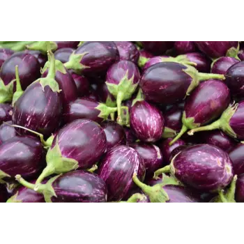 Natural Brinjal 
